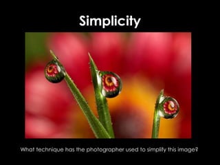 What technique has the photographer used to simplify this image?
Simplicity
 