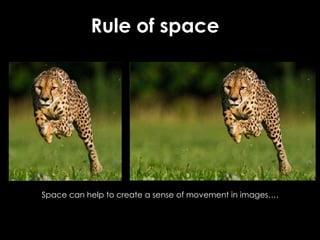 Rule of space
Space can help to create a sense of movement in images….
 