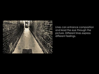 Lines can enhance composition
and lead the eye through the
picture. Different lines express
different feelings.
 