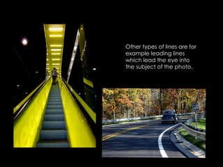 Other types of lines are for
example leading lines
which lead the eye into
the subject of the photo.
 