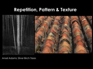 Repetition, Pattern & Texture
Ansel Adams: Silver Birch Trees
 