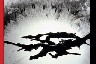 Minor White 
Root and Frost 
1958 
 