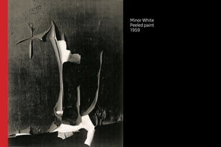 Minor White 
Peeled paint 
1959 
 