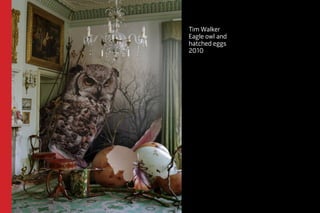 Tim Walker 
Eagle owl and 
hatched eggs 
2010 
 