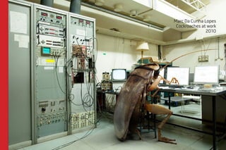 Marc Da Cunha Lopes 
Cockroaches at work 
2010 
 