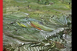 Edward Burtynsky 
Rice Terraces #2, 
Western Yunnan 
Province, China, 
2012 
 
