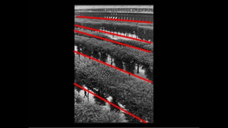 Advanced composition presentation