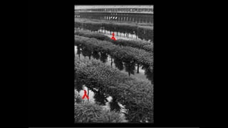 Advanced composition presentation