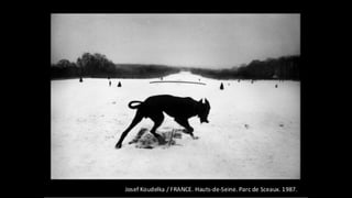 Advanced composition presentation