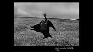 Advanced composition presentation