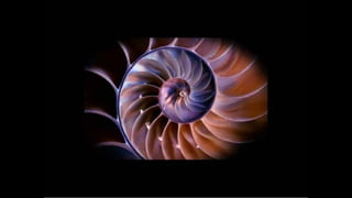 Advanced composition presentation