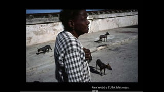 Advanced composition presentation