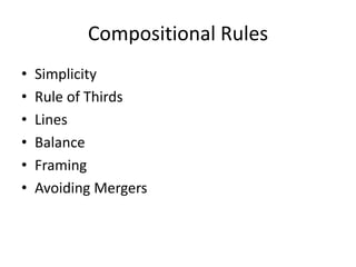 Compositional Rules
•   Simplicity
•   Rule of Thirds
•   Lines
•   Balance
•   Framing
•   Avoiding Mergers
 