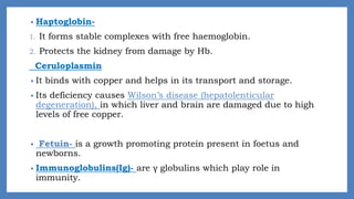 • Haptoglobin-
1. It forms stable complexes with free haemoglobin.
2. Protects the kidney from damage by Hb.
Ceruloplasmin
• It binds with copper and helps in its transport and storage.
• Its deficiency causes Wilson’s disease (hepatolenticular
degeneration), in which liver and brain are damaged due to high
levels of free copper.
• Fetuin- is a growth promoting protein present in foetus and
newborns.
• Immunoglobulins(Ig)- are γ globulins which play role in
immunity.
 