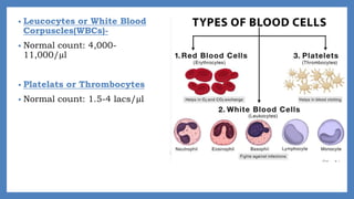 • Leucocytes or White Blood
Corpuscles(WBCs)-
• Normal count: 4,000-
11,000/µl
• Platelats or Thrombocytes
• Normal count: 1.5-4 lacs/µl
 