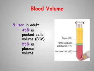 Blood Volume
5 liter in adult
• 45% is
packed cells
volume (PCV)
• 55% is
plasma
volume
15
 