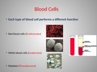 Blood Cells
• Each type of blood cell performs a different function
• Red blood cells (Erythrocytes)
• White blood cells (Leukocytes)
• Platelets (Thrombocytes)
 