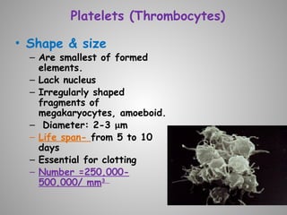 Platelets (Thrombocytes)
• Shape & size
– Are smallest of formed
elements.
– Lack nucleus
– Irregularly shaped
fragments of
megakaryocytes, amoeboid.
– Diameter: 2-3 µm
– Life span- from 5 to 10
days
– Essential for clotting
– Number =250,000-
500,000/ mm3
 