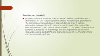Thrombocytes (platelets)
 platelets are small, spherical, non- nucleated man of protoplasm with a
diameter of 2-4 um. The protoplasm Contains mitochondria, granules etc.
The granules contamn glycogen, platelet derived growth factors,
adenosine triphosphate (ATP) histamine, serotonin etc. The contractile
elements contain actin and myonin which help in amoeboid movements of
platelets. Tubules are for the storage of Calcium platelets do not have
deoxyribonucleic acid (DNA) and ribonucleic acid (RNA), Therefore there
can be no protein synthesis
 