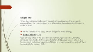 Oxygen (O2):-
When the red blood cells reach tissues that need oxygen, the oxygen is
released from the haemoglobin and diffuses into the cells where it is used to
make energy.
 All the systems in our body rely on oxygen to make energy
 Carbondioxide(CO2)
CO2 is transported in the bloodstream to the lungs where it is ultimately
removed from the body through exhalation. CO2 plays various roles in the
human body including regulation of blood pH, respiratory drive, and affinity of
hemoglobin for oxygen (O2)..
 
