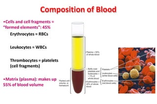 Composition and Functions of the Blood.pptx
