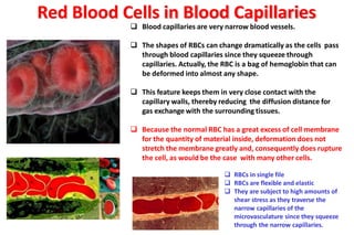 Composition and Functions of the Blood.pptx