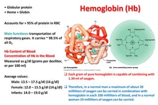 How Many Hemoglobin Per Rbc Composition and Functions of the Blood.pptx