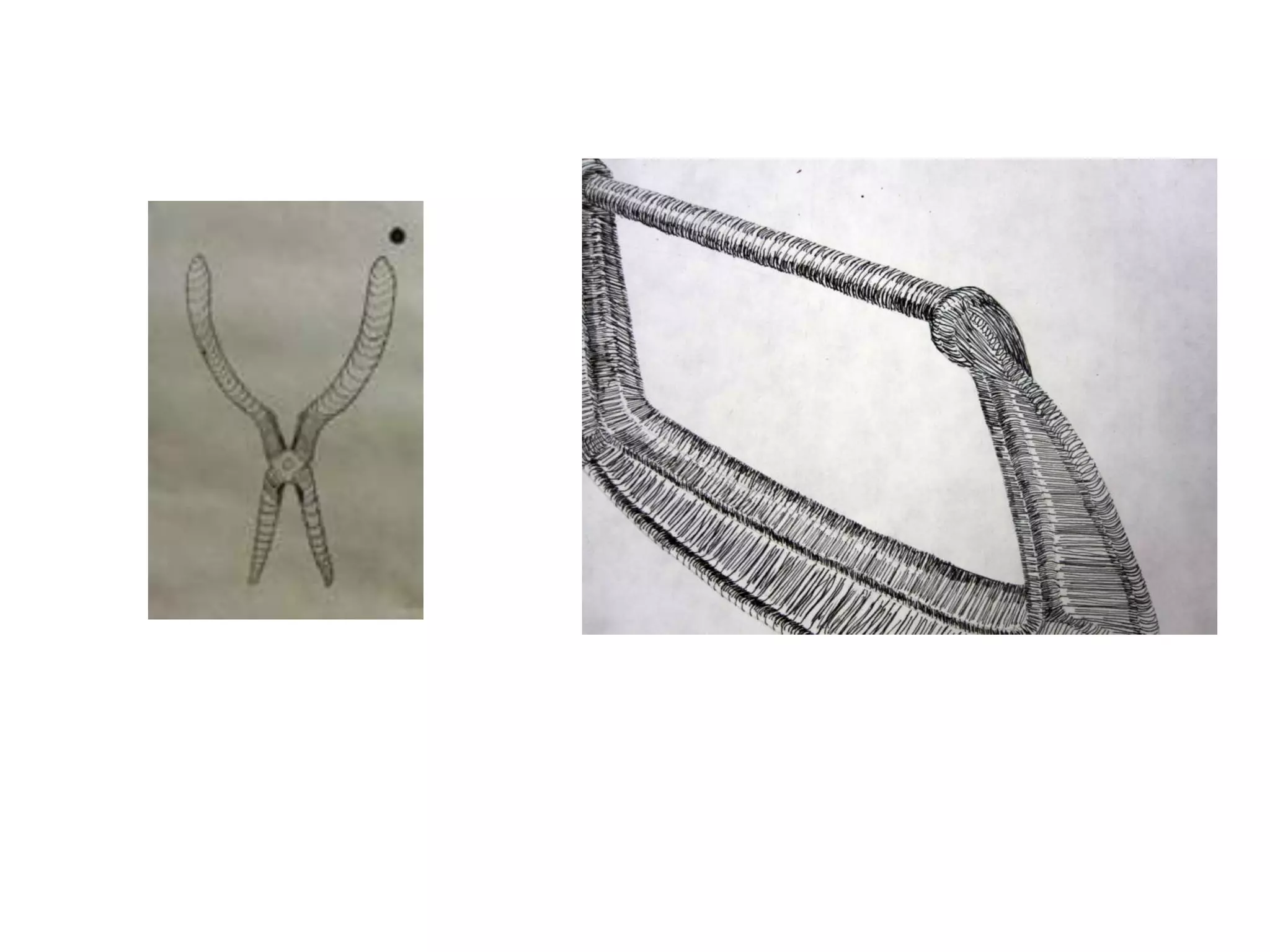 Composition and pen techniques