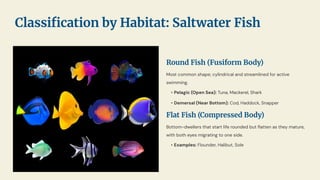 Composition and Structure of Fishfileu.pdf