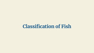 Classiﬁcation of Fish
 
