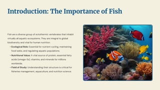 Fish are a diverse group of ectothermic vertebrates that inhabit
virtually all aquatic ecosystems. They are integral to global
biodiversity and vital for human nutrition.
• Ecological Role: Essential for nutrient cycling, maintaining
food webs, and regulating aquatic populations.
• Nutritional Value: A vital source of protein, essential fatty
acids (omega-3s), vitamins, and minerals for millions
worldwide.
• Field of Study: Understanding their structure is critical for
ﬁsheries management, aquaculture, and nutrition science.
Introduction: The Importance of Fish
 