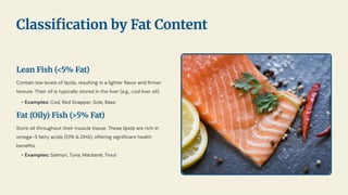 Lean Fish (<5% Fat)
Contain low levels of lipids, resulting in a lighter ﬂavor and ﬁrmer
texture. Their oil is typically stored in the liver (e.g., cod liver oil).
Fat (Oily) Fish (>5% Fat)
Store oil throughout their muscle tissue. These lipids are rich in
omega-3 fatty acids (EPA & DHA), offering signiﬁcant health
beneﬁts.
• Examples: Cod, Red Snapper, Sole, Bass
• Examples: Salmon, Tuna, Mackerel, Trout
Classiﬁcation by Fat Content
 
