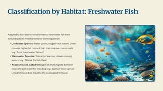 Adapted to low-salinity environments, freshwater ﬁsh have
evolved speciﬁc mechanisms for osmoregulation.
• Coldwater Species: Prefer cooler, oxygen-rich waters. Often
possess higher fat content than their marine counterparts
(e.g., Trout, freshwater Salmon).
• Warmwater Species: Tolerant of warmer, slower-moving
waters. (e.g., Tilapia, Catﬁsh, Bass).
• Anadromous & Catadromous: Fish that migrate between
fresh and salt water for breeding (e.g., Salmon travel upriver
(Anadromous); Eels travel to the sea (Catadromous)).
Classiﬁcation by Habitat: Freshwater Fish
 