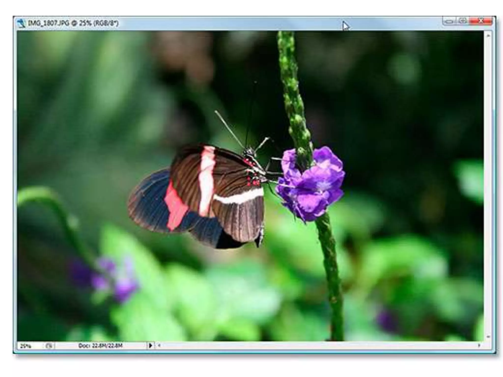 Composition and the rule of thirds