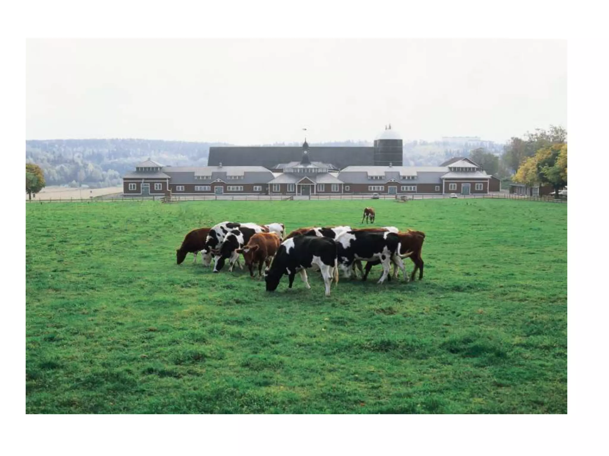 Composition and the rule of thirds