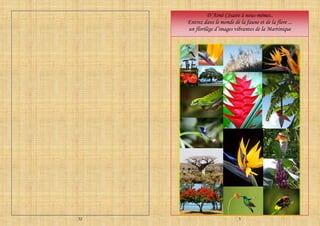 32 5
D’Aimé Césaire à nous-mêmes..
Entrez dans le monde de la faune et de la flore ...
un florilège d’images vibrantes de la Martinique
 