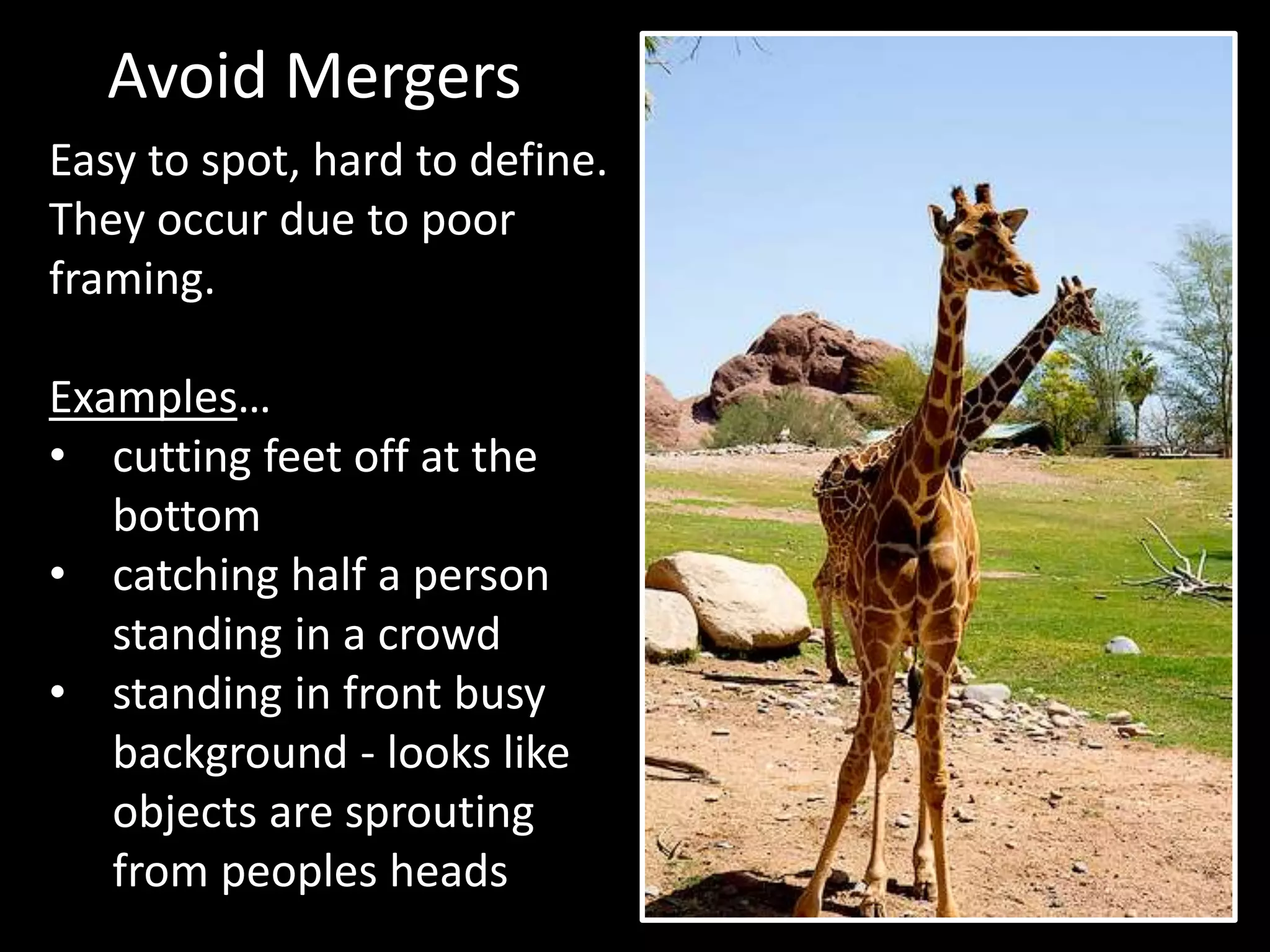 Avoid Mergers 
Easy to spot, hard to define. 
They occur due to poor 
framing. 
Examples… 
• cutting feet off at the 
bottom 
• catching half a person 
standing in a crowd 
• standing in front busy 
background - looks like 
objects are sprouting 
from peoples heads 
 