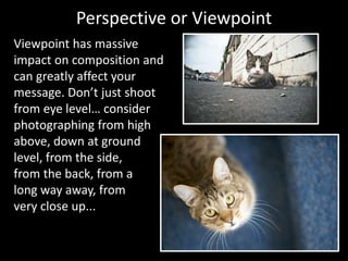 Perspective or Viewpoint
Viewpoint has massive
impact on composition and
can greatly affect your
message. Don’t just shoot
from eye level… consider
photographing from high
above, down at ground
level, from the side,
from the back, from a
long way away, from
very close up...
 
