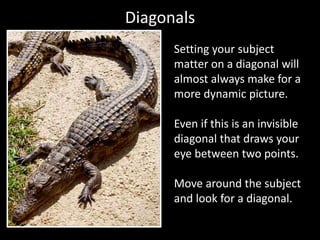 Diagonals
Setting your subject
matter on a diagonal will
almost always make for a
more dynamic picture.
Even if this is an invisible
diagonal that draws your
eye between two points.
Move around the subject
and look for a diagonal.
 