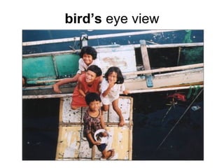 bird’s eye view
 