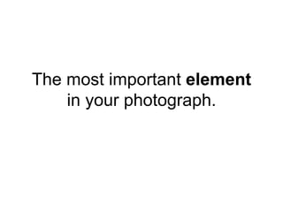 The most important element
    in your photograph.
 