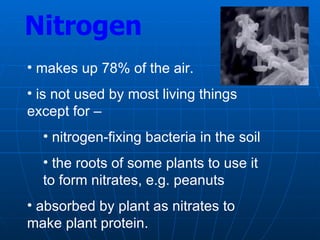 Nitrogen
• makes up 78% of the air.
• is not used by most living things
except for –
• nitrogen-fixing bacteria in the soil
• the roots of some plants to use it
to form nitrates, e.g. peanuts
• absorbed by plant as nitrates to
make plant protein.