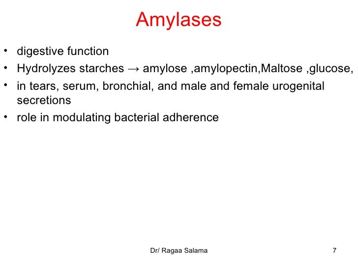 Composition Of Saliva 2010