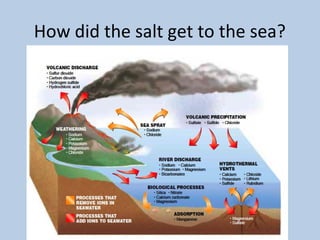 Composition of seawater | PPT