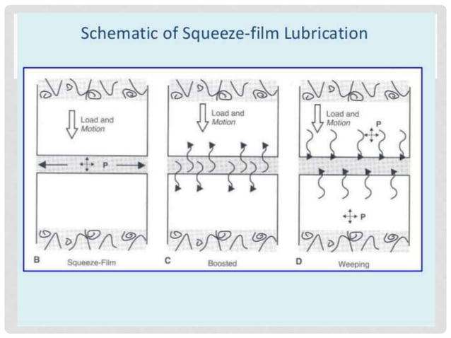 Composition of synovial fluid and mechanism of joint lubrication | PPT