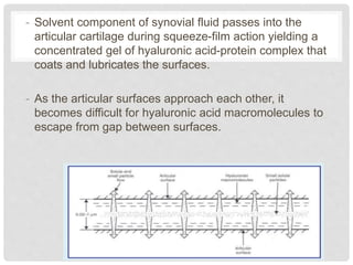 Composition of synovial fluid and mechanism of joint lubrication | PPTX