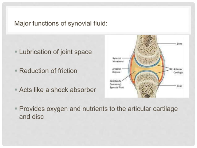 Composition of synovial fluid and mechanism of joint lubrication | PPT