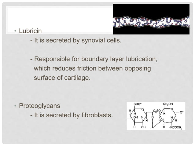 Composition of synovial fluid and mechanism of joint lubrication | PPT