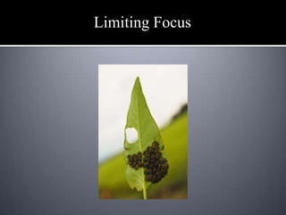 Keeping it simpleSimplicity/Simplification