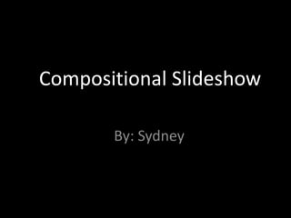Compositional Slideshow

       By: Sydney
 